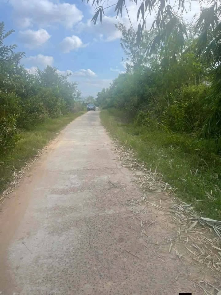 Đất nền 2ha tại xã Vụ Bổn, huyện Krông Pắc - Giá chỉ 3 tỷ, mặt tiền đường bê tông rộng rãi!