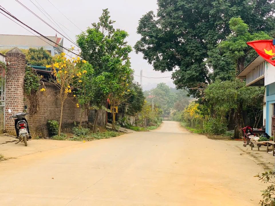 Đất thổ cư Hòa Sơn 1600m² giá chỉ 6,x triệu - Tiềm năng đầu tư tuyệt vời!