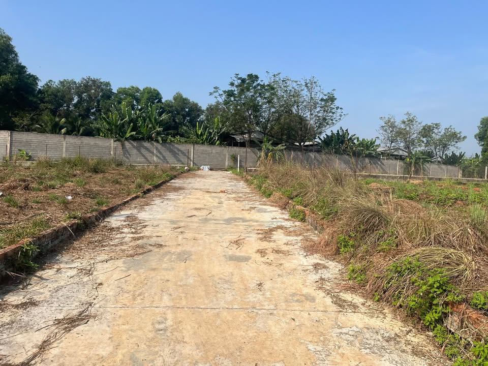 Đất thổ cư 115m² tại xã Gia Kiệm - Giá chỉ 495 triệu - Cơ hội đầu tư tuyệt vời!