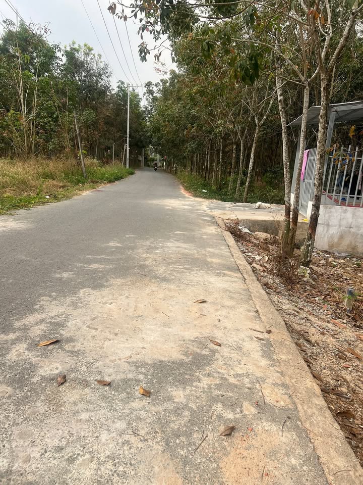 Đất nền Phường Phú Hòa, Thủ Dầu Một 210m² giá 1.3 tỷ - Đầu tư sinh lời ngay!