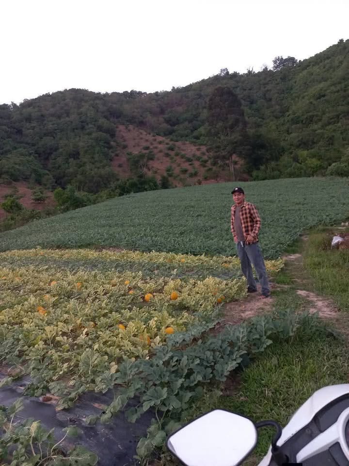 Đất thổ cư 360m² đường N7, thị trấn Đạ Tẻh - Giá chỉ 570 triệu, cơ hội đầu tư hấp dẫn!