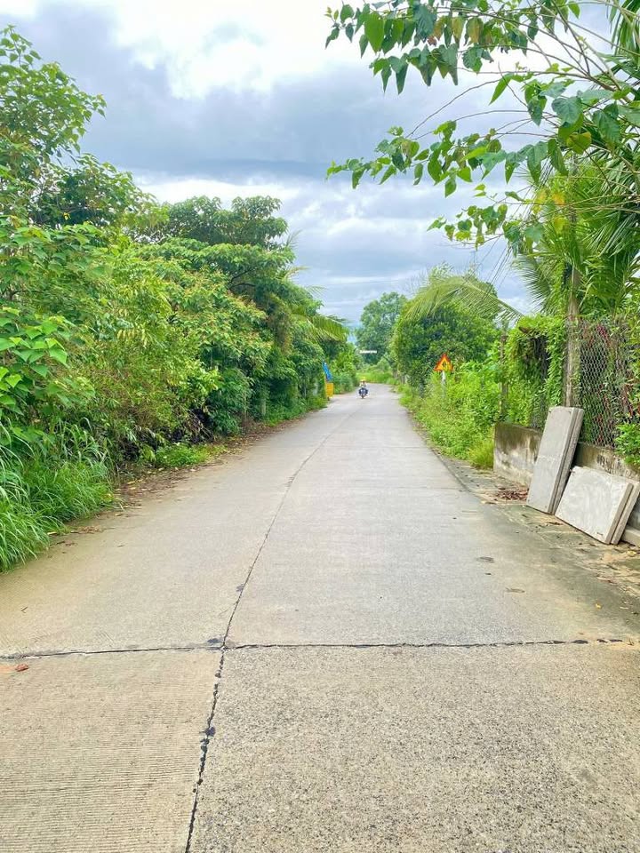 Đất nền Nghĩa Lâm, Tư Nghĩa 3069m² - Sổ đỏ chính chủ, giá tốt!