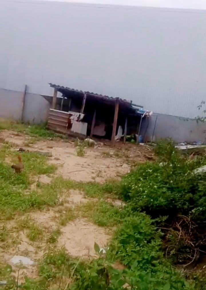 Đất Hòa Hương Tam Kỳ 150m² giá 1.1 tỷ - Chính chủ bán gấp!