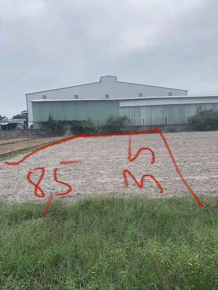 Đất nền 303m² Mỹ Hạnh Bắc - Đức Hòa, Long An giá chỉ 1.9 tỷ - Sổ hồng riêng