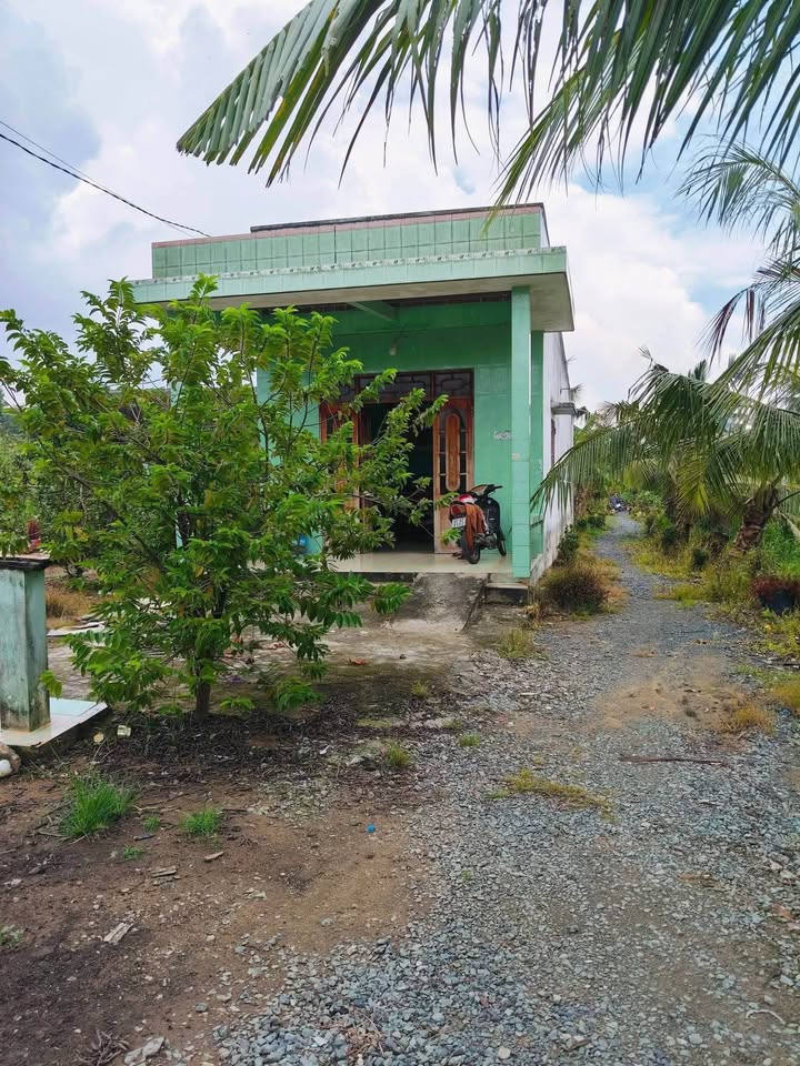 Nhà cấp 4 tại hẻm 646, phường 7, Tân An 554m² - Giá chỉ 1.6 tỷ!