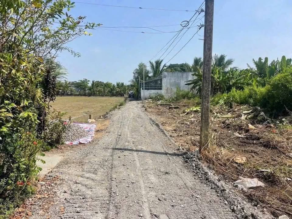 Đất nền Nhựt Chánh, Bến Lức 100m² giá 480 triệu - Sổ hồng sẵn, vị trí đẹp!