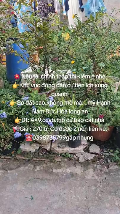 Đất thổ cư 36m² tại xã Mỹ Hạnh Nam, Đức Hòa chỉ 270 triệu - Cơ hội đầu tư hấp dẫn!