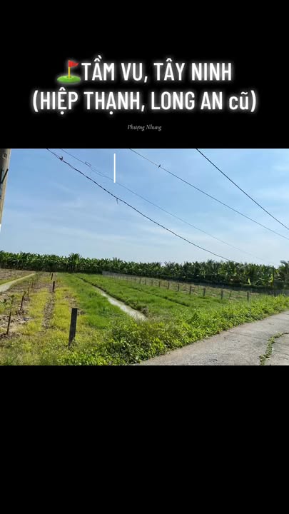 Đất nền 1000m² Hiệp Thạnh, Châu Thành chỉ 1.9 tỷ - Đầu tư sinh lời cao!