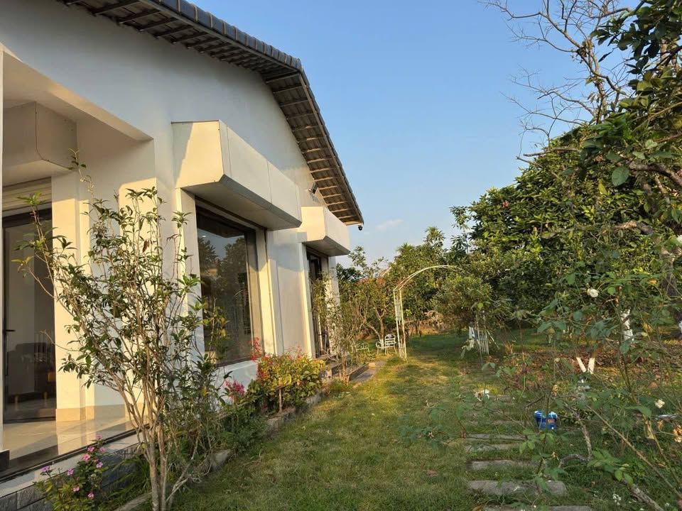 Biệt thự sân vườn Dương Quan, Thủy Nguyên 1000m² - Phù hợp chuyên gia, gia đình ở!