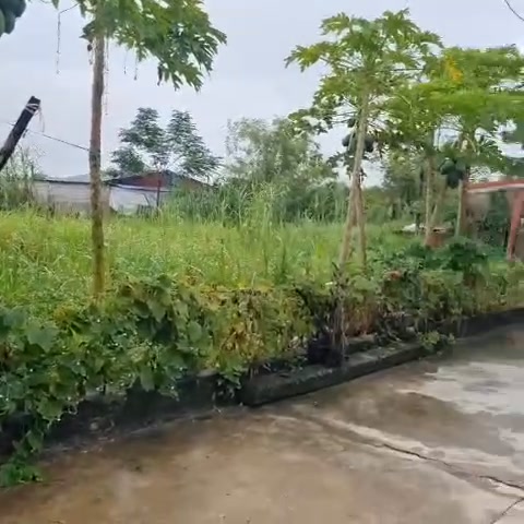 Đất nền phường Trường Thi, Nam Định 125m² - Nở hậu, đường rộng ô tô tránh nhau