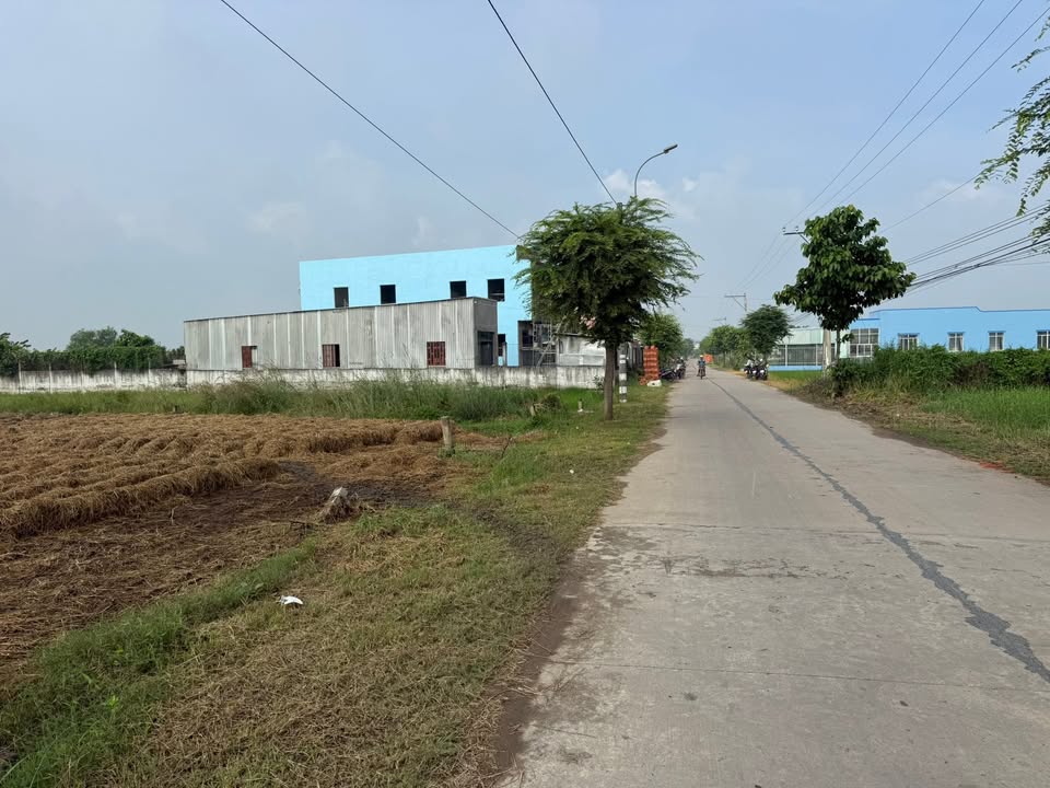 Đất thổ cư đường Trần Văn Nghĩa, Cần Giuộc, 110m² giá 1.3 tỷ - Vị trí đắc địa, phát triển nhanh chóng!