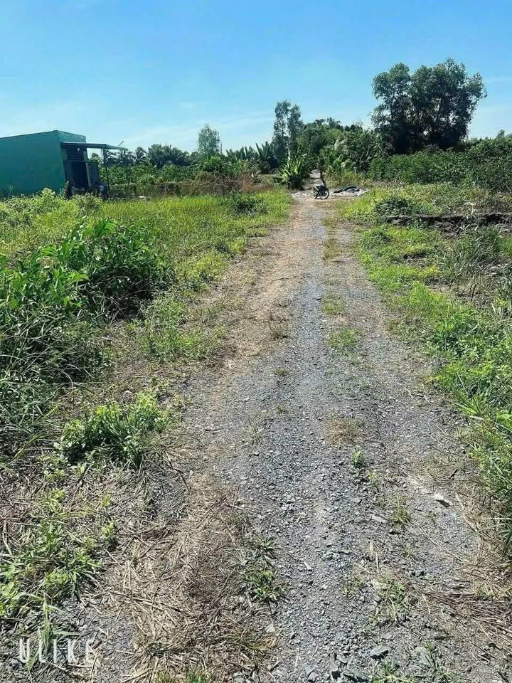 Đất vườn ấp 6, Tây Ninh 1150m² giá 777 triệu - Đầu tư sinh lời ngay!