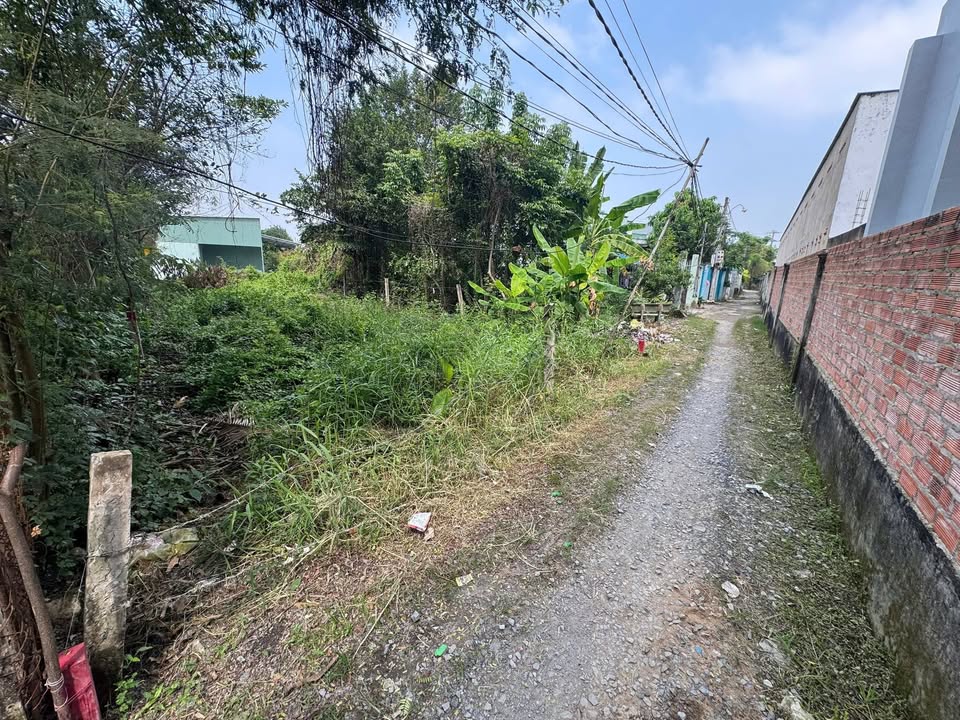 Đất thổ cư Ấp Cầu Xây, Long Trạch 124m² giá 895 triệu - Cơ hội đầu tư hấp dẫn!