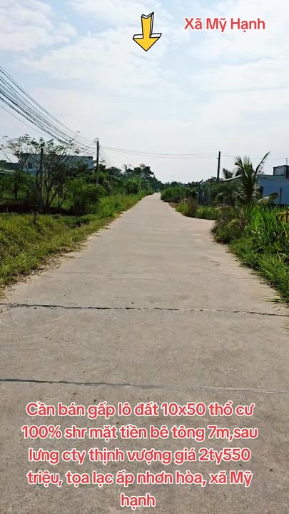 Đất nền Ấp Nhơn Hòa, Cần Giuộc 250m² giá 1.28 tỷ - Đầu tư sinh lời ngay!