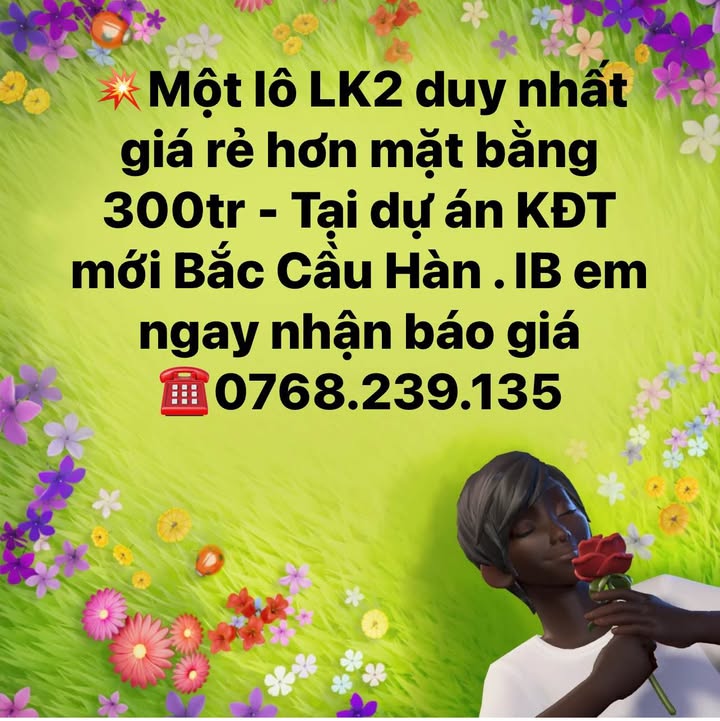 Đất nền Khu đô thị mới Bắc Cầu Hàn 100m² giá rẻ - Cơ hội đầu tư hấp dẫn!