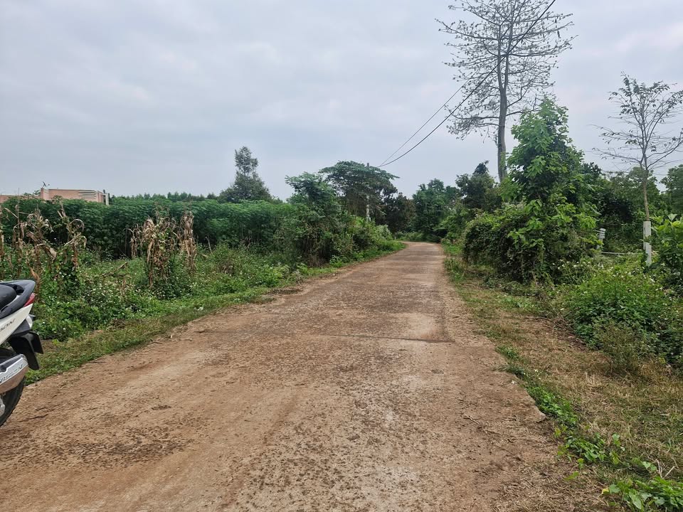 Đất vườn 3490m² tại Láng Lớn, Bà Rịa - Vũng Tàu giá 4 tỷ - Đầu tư sinh lời lý tưởng!