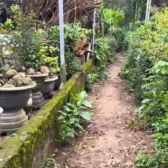 Đất nền xã Hành Thiện, Nghĩa Hành 650m² giá chỉ 270 triệu - Cơ hội đầu tư tuyệt vời!