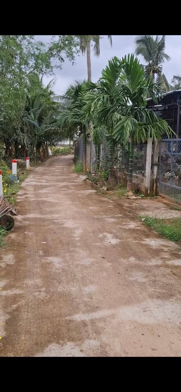 Đất thổ cư 120m² tại Bồng Sơn, Hoài Nhơn - Gần Quốc Lộ 1A, giá thỏa thuận!