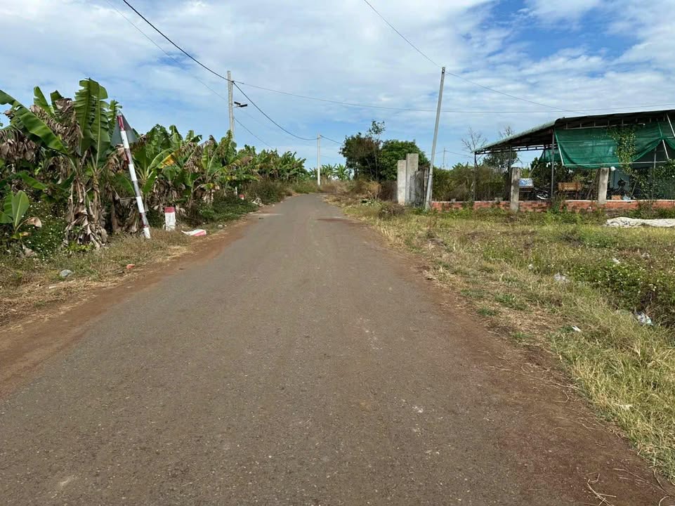 Đất nền 1.400m² xã Trần Hợi, huyện Trần Văn Thời - Sổ đỏ đang tách, giá chỉ 870 triệu!