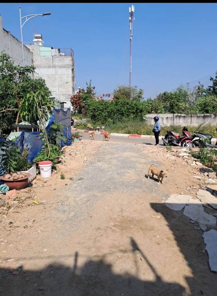 Đất thổ cư hẻm 176 Trương Công Định, Vũng Tàu - Giá tốt chỉ 3.55 tỷ!