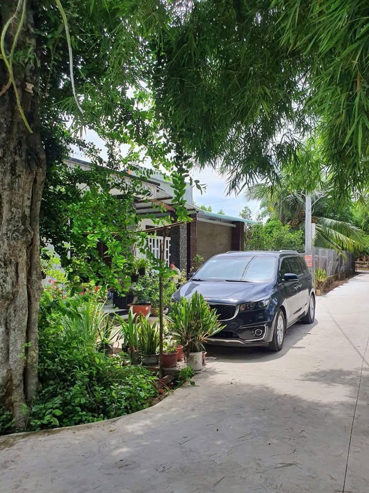 Nhà cấp 4 tại Xã An Ninh Tây, Huyện Đức Hòa, 308m² chỉ 1.4 tỷ - Sổ hồng riêng