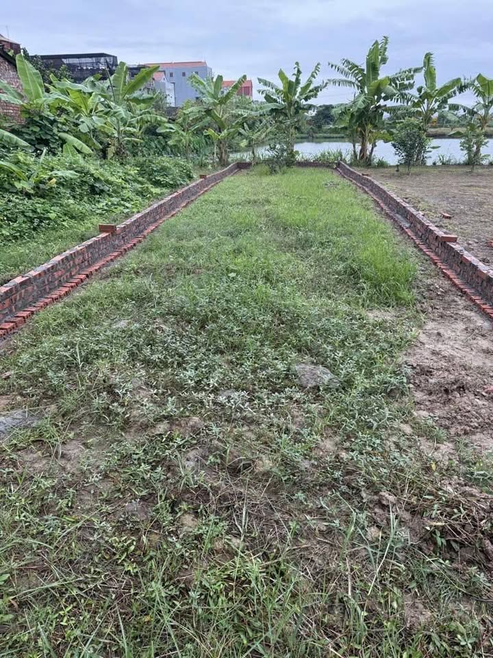 Đất Nhân Thắng, Gia Bình, Bắc Ninh 80.7m² giá 2.x tỷ - Đường ô tô vào tận nơi!