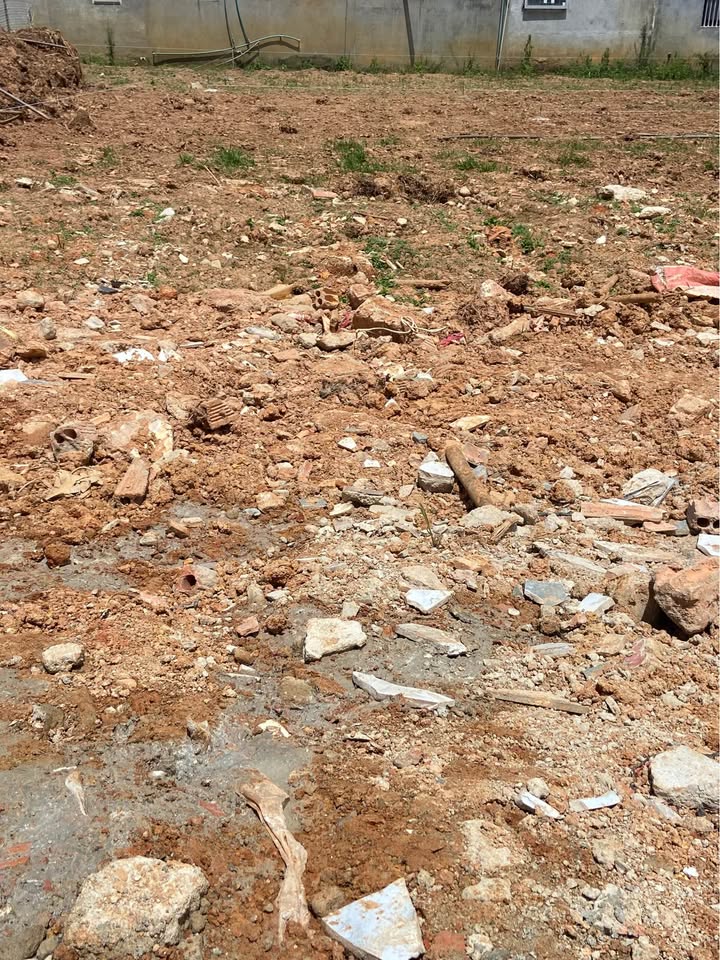 Đất nền Đà Lạt 77m² giá 1.55 tỷ - Vị trí đẹp, thuận tiện xe hơi vào tận nơi!