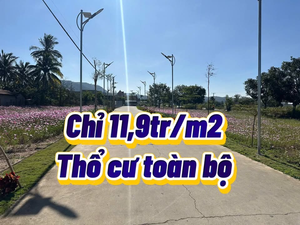 Lô đất 115m² tại Khu Dân Cư Phú Lộc - Pháp lý rõ ràng, sổ hồng riêng!