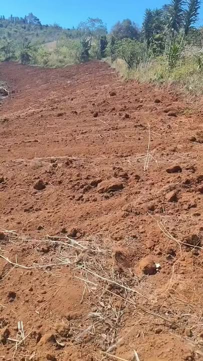 Đất nền Lộc Bắc Bảo Lâm 1,2ha giá 165 triệu - Sổ đỏ chính chủ, vị trí đẹp!