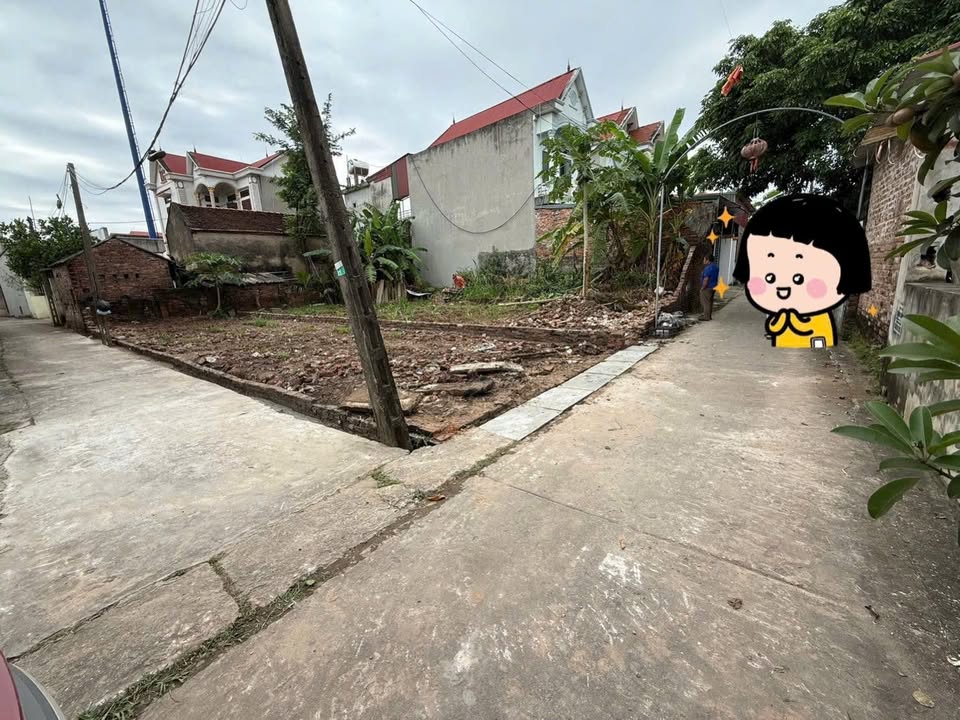 Đất nền Khu phố Thi Hôm Đào Viên 88m² giá chỉ 1 tỷ - Cơ hội đầu tư sinh lời!