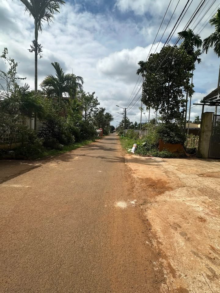 Đất nền ETU Tân An 371m² giá 500 triệu - Đầu tư sinh lời ngay!