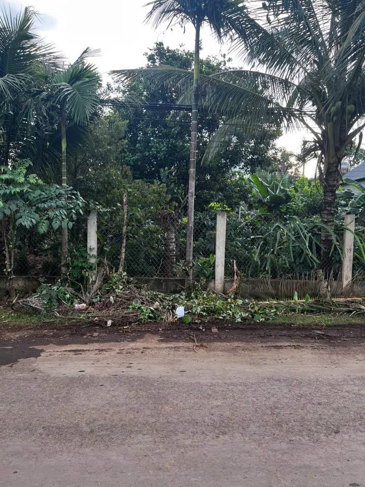 Mặt Tiền Kinh Doanh Đường Mậu Thân, Buôn Ma Thuột 150m² giá 1.5 tỷ - Tiềm năng phát triển mạnh mẽ!