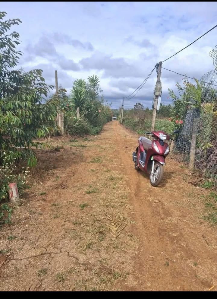 Đất thổ cư 135m² Trịnh Văn Cấn - Giá chỉ 419 triệu - Pháp lý rõ ràng!