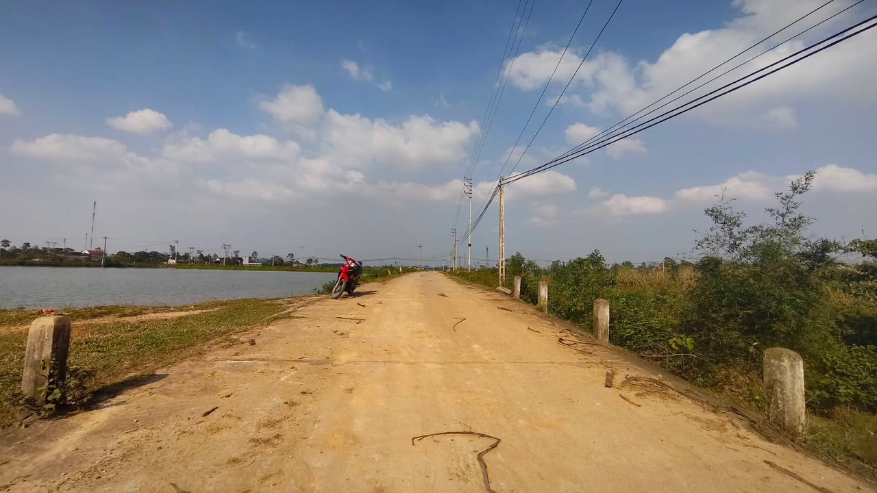 Đất Farm Thôn Hòa Bình, Thạch Xuân 5996m² - Quỹ đất lớn, hiếm có!