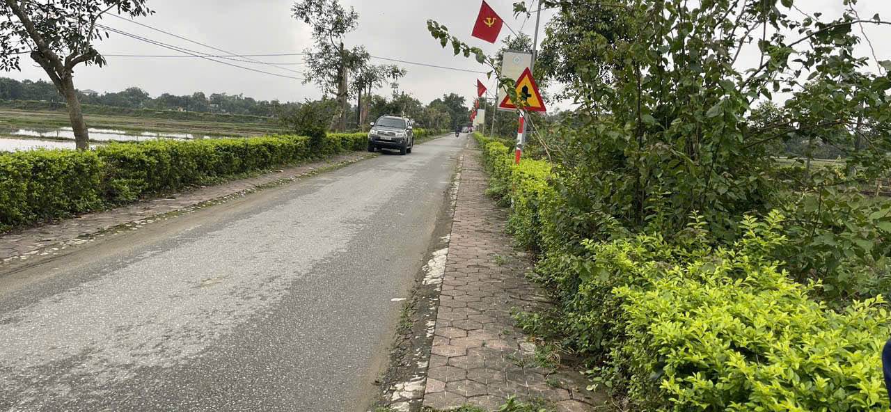 Đất quy hoạch Cẩm Vịnh 216m² giá chỉ 1 tỷ - Cơ hội đầu tư hấp dẫn!