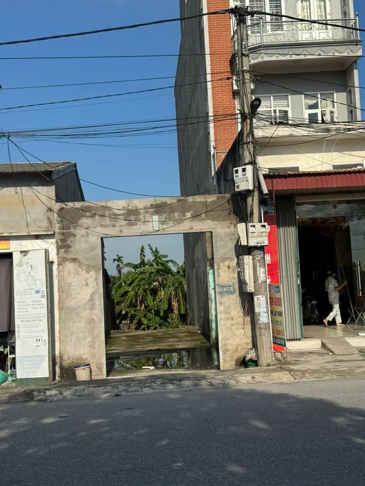 Đất nền trục Quốc lộ 37, Nghĩa An, Ninh Giang, Hải Dương - Diện tích 80m², giá thỏa thuận - Đầu tư sinh lời ngay!