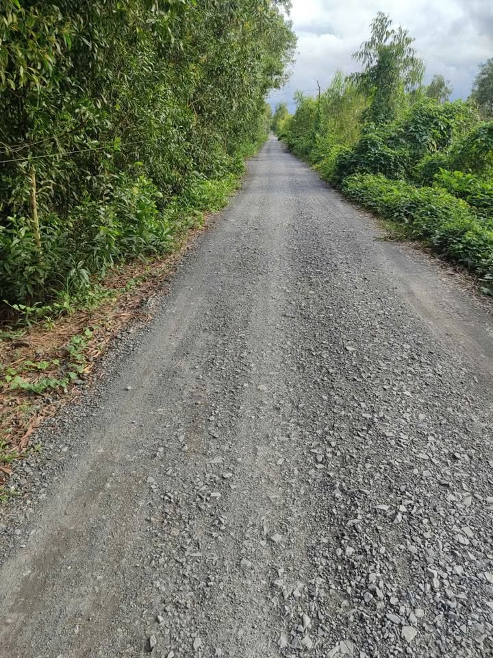 Đất Farm 20 công xã Thạnh Tân, Tân Phước 200.000m² giá 42 tỷ - Sổ hồng riêng, xe hơi vào tận nơi!