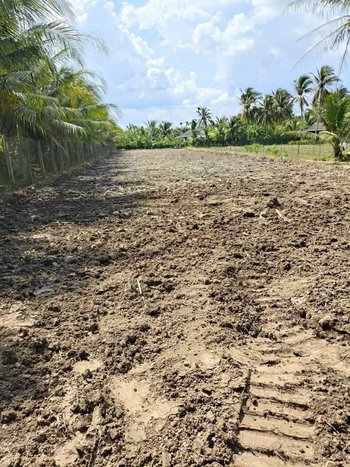 Đất nền liền kề Trung An Mỹ Tho 150m² giá chỉ 400 triệu - Cơ hội đầu tư hấp dẫn!