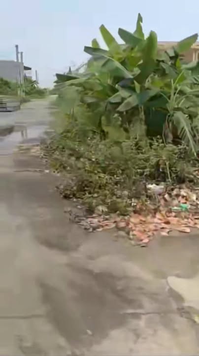 Lô Đất Giãn Dân Thái Hòa 1 - Bình Giang - 93m² - Cơ hội đầu tư sinh lời!