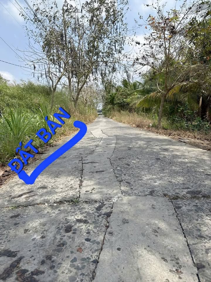 Đất nền mặt tiền xã Hữu Định 502m² giá 1.3 tỷ - Đầu tư sinh lời ngay!