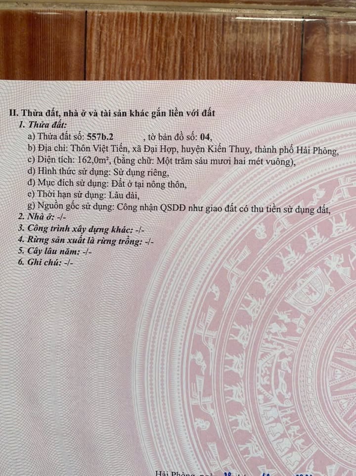 Lô đất Việt Tiến, Kiến Thụy 162m² chỉ 2.67 tỷ - Sổ đỏ chính chủ!