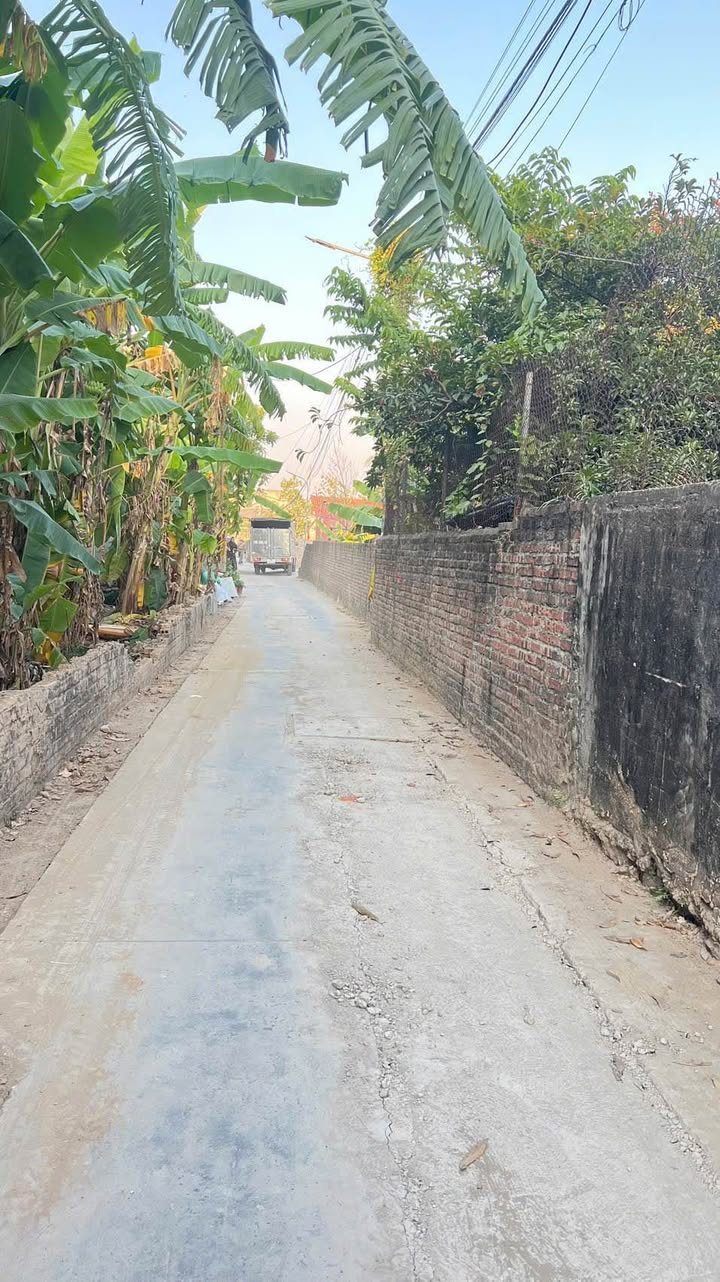 Bán đất ngõ ô tô tải Kiều Hạ 57m² giá chỉ 7xx triệu - Cơ hội đầu tư tuyệt vời!