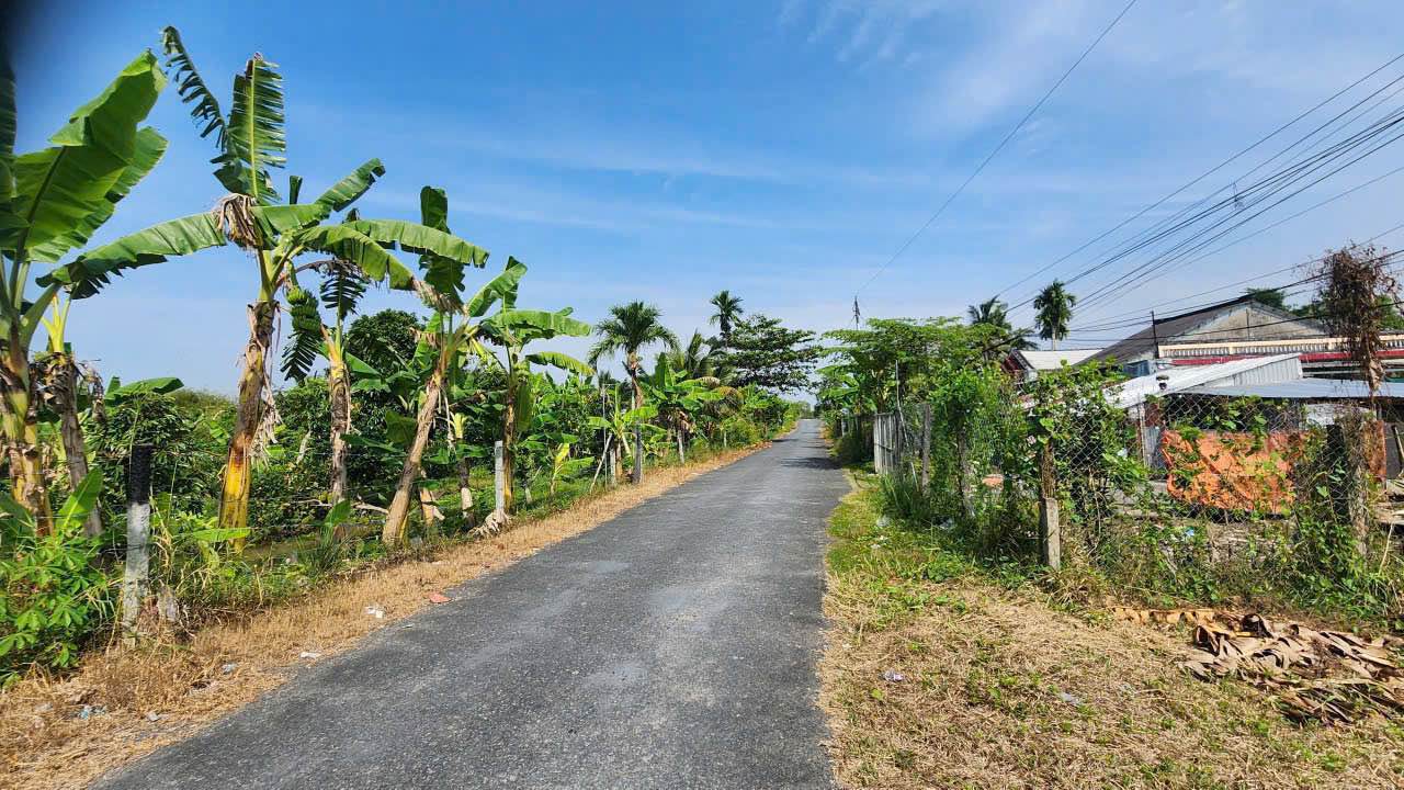 Đất Farm 1909m² Huyện Phong Điền - Cần Thơ - Giá Thỏa Thuận Tốt Nhất