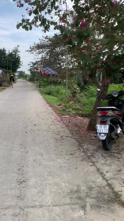 Đất kiệt Phong Lục Tây, Điện Thắng 100m² giá 1.5 tỷ - Địa thế thuận lợi, không ngập nước!