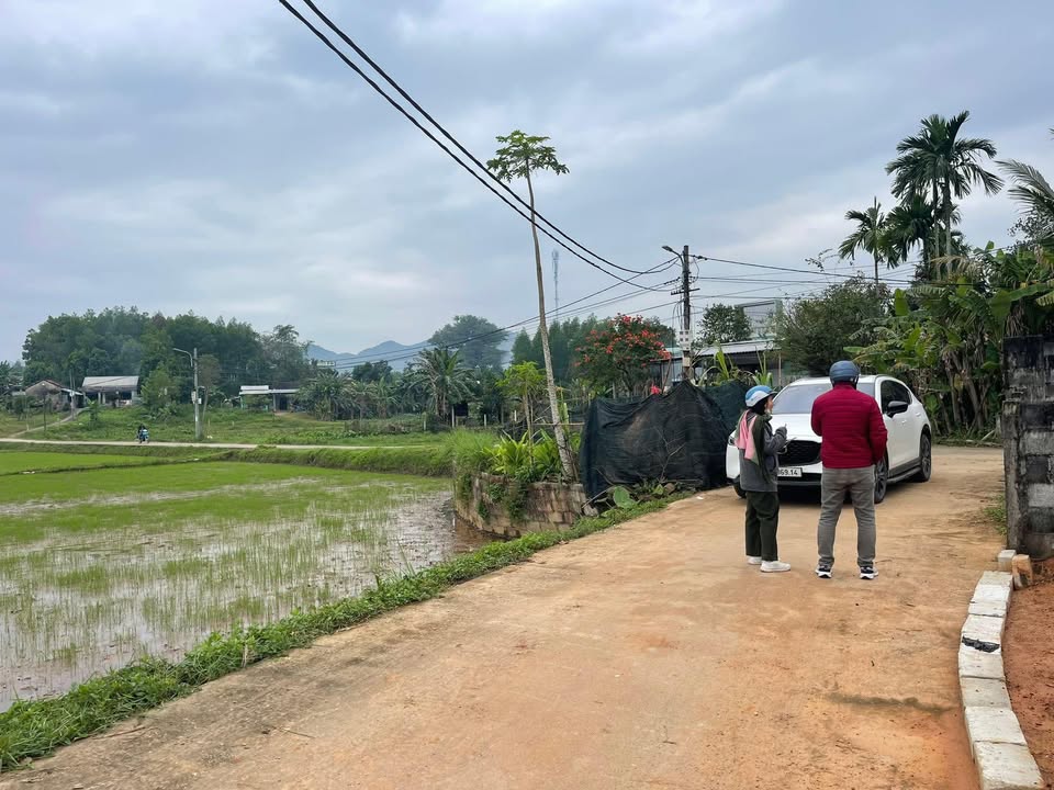 Đất nền Phước Hưng, Hòa Nhơn 150m² giá 1.5 tỷ - Sổ hồng chính chủ, vị trí thuận lợi!