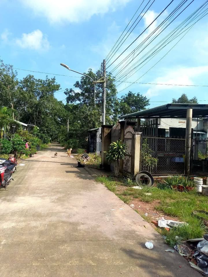 Nhà cấp 4 phường Long Nguyên, Bình Dương 325m² giá 1,4 tỷ - Đẹp và tiện nghi!