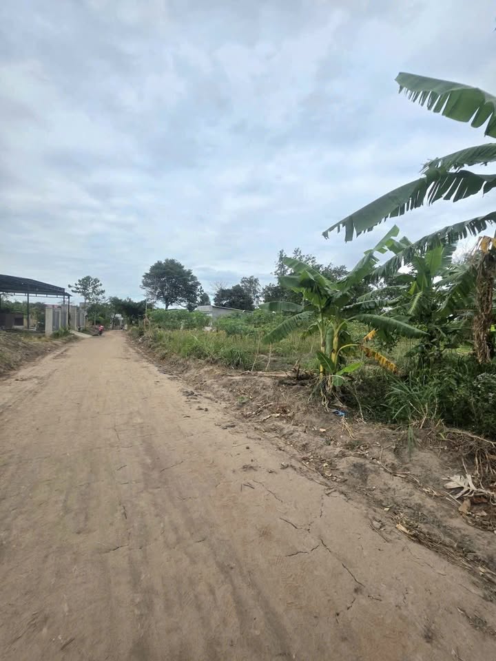 Đất thổ cư Hòa Sơn, Krông Bông 264m² chỉ 210 triệu - Cơ hội đầu tư tuyệt vời!