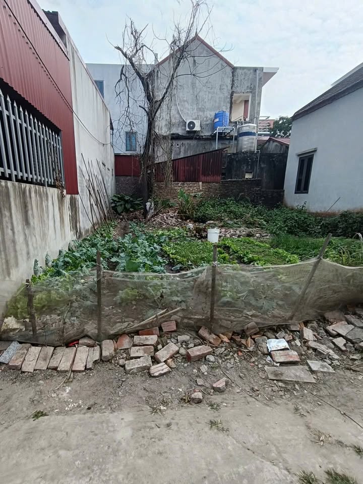 Đất nền 54m² phường Xuân Lâm giá 2.1 tỷ - Sổ đỏ chính chủ, sang tên ngay!