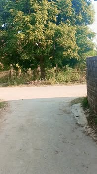 Đất thổ cư Hợp Thịnh, Hiệp Hòa, 100m² giá 700 triệu - Vị trí đắc địa gần khu công nghiệp