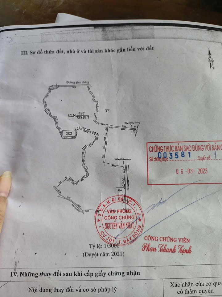 Farm Đắk Wil 6ha giá thỏa thuận - Đầu tư sinh lời bền vững!